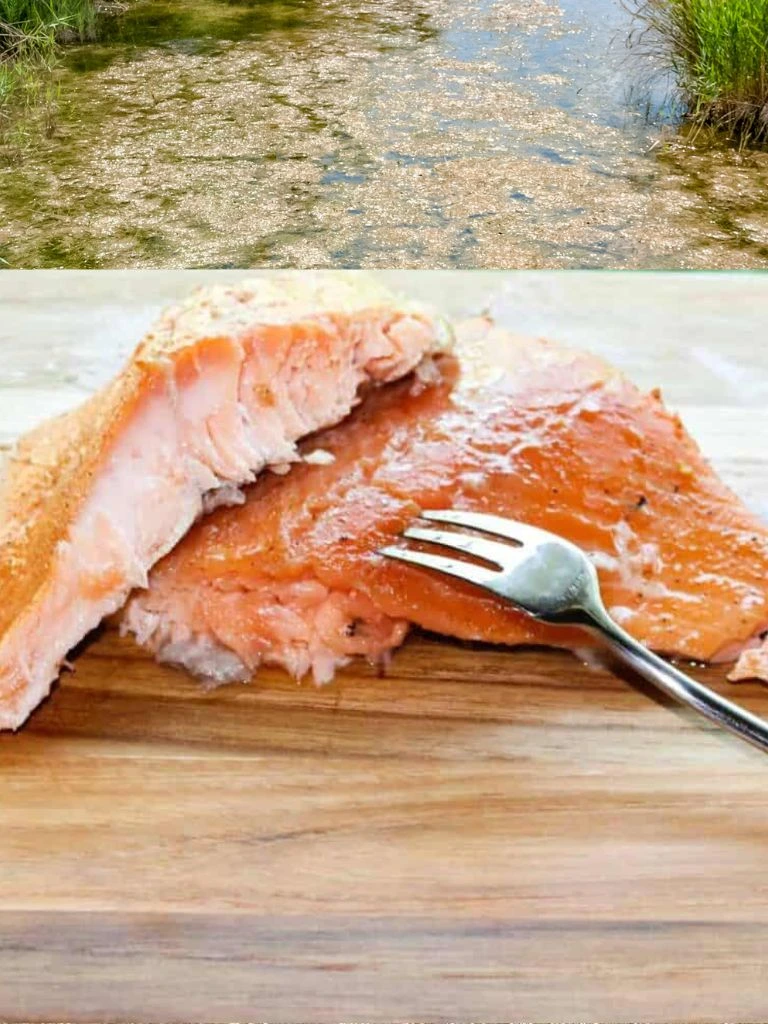  Classic brown sugar brine